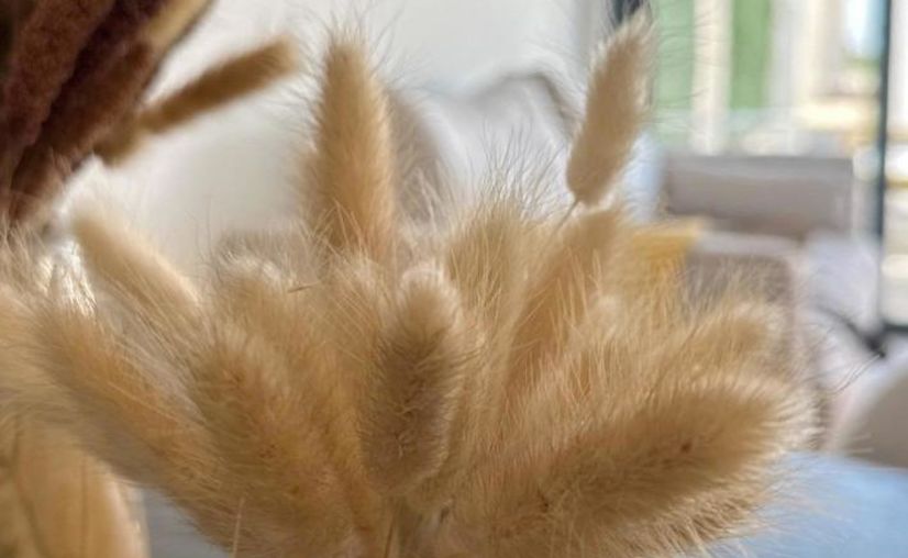 Bungalow te koop in San Fulgencio