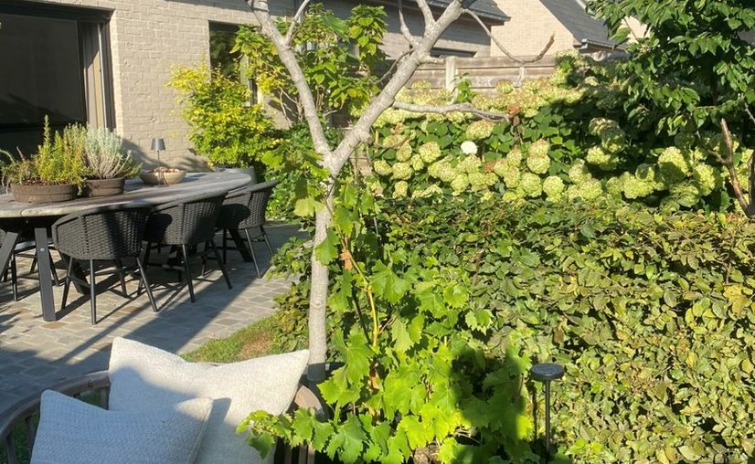 Family house for rent in Beernem