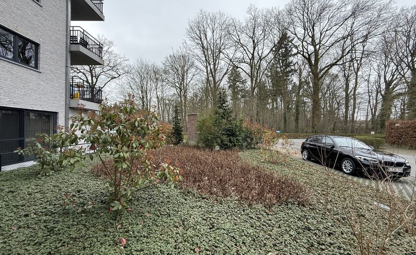 Flat for rent in Beernem