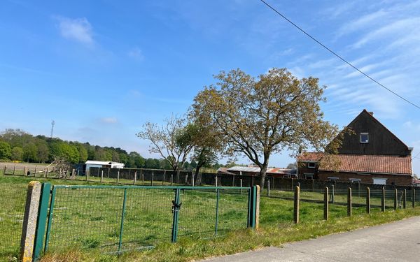 House for rent in Beernem