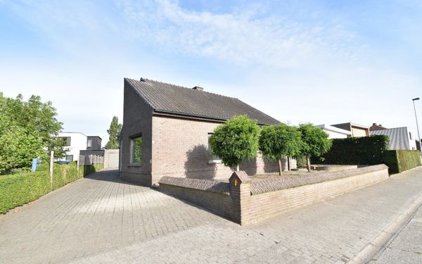 House for rent in Beernem