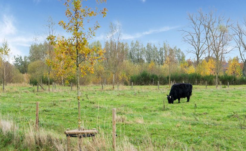 Huis te koop in Loppem