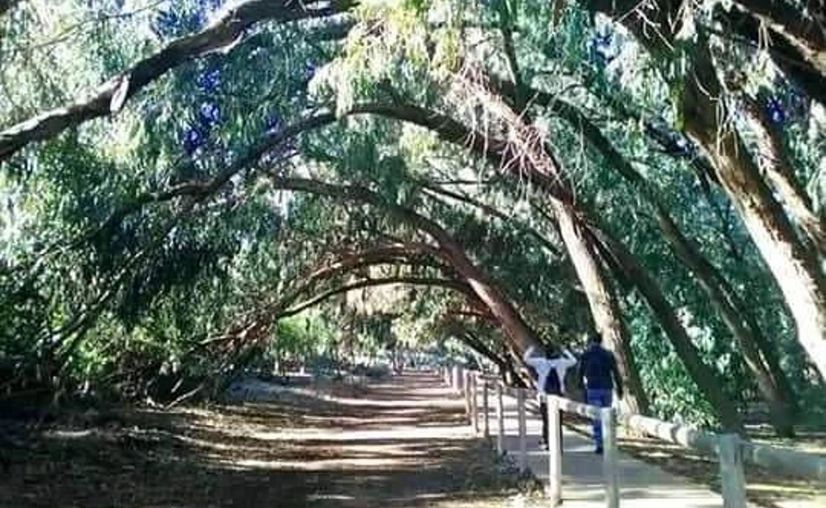 Huis te koop in Torrevieja