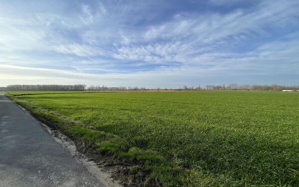 Landhuis te koop in Aalter