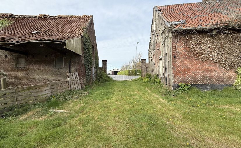 Villa farmtype for sale in Tielt
