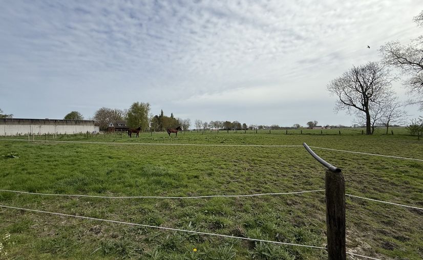 Villa farmtype for sale in Tielt