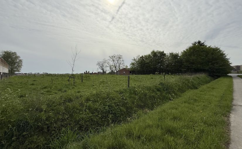 Villa farmtype for sale in Tielt